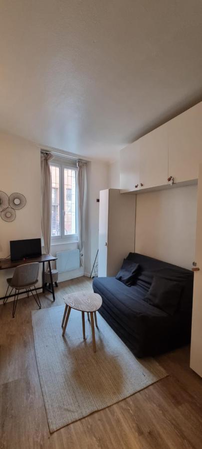 Апартаменты Studio En Rdc - Quai De Garonne - Capitole - Wifi Тулуза Экстерьер фото